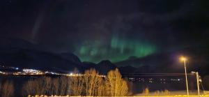 an aurora in the sky over a city at night at Ramfjord Apartment in Tromsø +3 photos