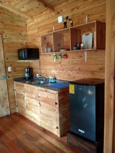 uma cozinha com um lavatório e um fogão numa cabina em Cabañas Barú Dota em Santa María