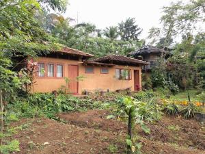 a small house in the middle of a forest at Deniyaya National backpackers hostel in Deniyaya