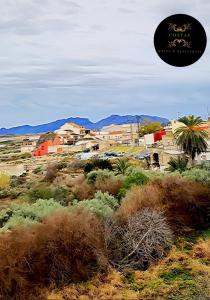 a view of a desert with houses and a palm tree at Hotel y Restaurante Costas in Fortuna