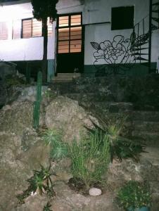 ein Haus mit einem Garten mit Pflanzen davor in der Unterkunft Calli Cintli in Tepoztlán