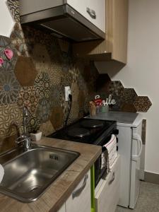 kuchnia ze zlewem i kuchenką w obiekcie Nilton 2 Apartmans w Niszu
