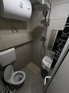 małą łazienkę z toaletą i umywalką w obiekcie Nilton 2 Apartmans w Niszu
