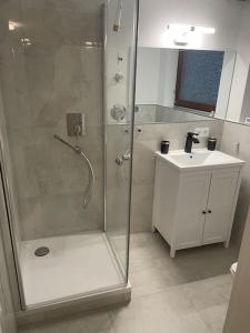 a bathroom with a shower and a sink at Modern Urban Studio Apartment S-Bahn 27QM for 6 persons in Magstadt