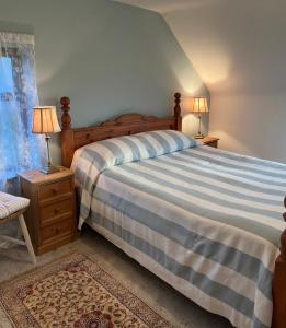 1 dormitorio con 1 cama con 2 mesitas de noche y 2 lámparas en Reenard South seaview country cottage, en Cahersiveen