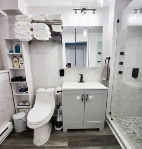 uma casa de banho com um WC, um lavatório e um chuveiro em Beach Oasis, Mins to CP & SF, King/WD/Pet OK em Sandusky
