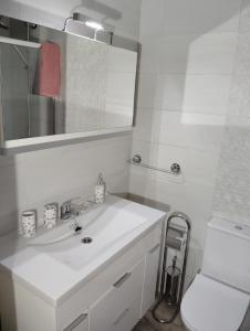 a bathroom with a sink and a mirror and a toilet at Apartamentos nova de abaixo 3, 1B 1A y 1D in Pontevedra