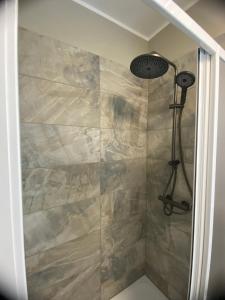 a shower with a shower head in a bathroom at Pension Zum Alten Fährhaus in Rostock