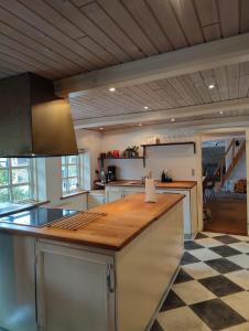a kitchen with a wooden counter top in a room at Charmerende stråtag strå hus (med Vildmarksbad) in Give