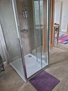 a shower stall in a room with a purple rug at Modern loft with country views in Conlig