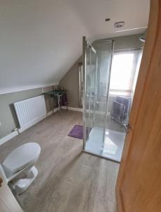 a bathroom with a toilet and a glass shower at Modern loft with country views in Conlig