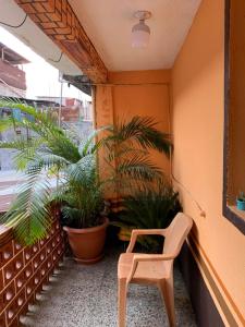 Homestay Mama Tuch في سان بيدرو لا لاغونا: كرسي جلوس على شرفة بالنباتات