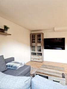 a living room with a couch and a tv at Ferienwohnung Wehra in Wehr