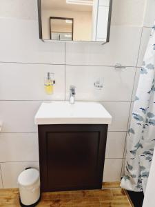 a bathroom with a sink and a mirror at Ferienwohnung Wehra in Wehr