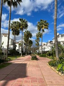 un trottoir avec des palmiers et des maisons en arrière-plan dans l'établissement Beautiful 2 bedroom Apartment in Puerto Banus !, à Marbella