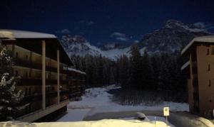 The Window to the Mountains v zimě