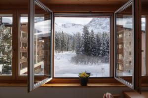 The Window to the Mountains v zimě