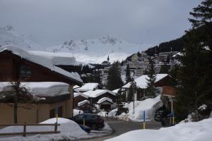The Window to the Mountains v zimě
