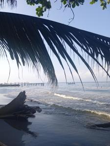 a view of the beach from under a palm tree at Casa Yemaya in Necoclí