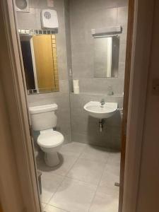 La salle de bains est pourvue de toilettes et d'un lavabo. dans l'établissement Marina Apartment Kinsale, à Cork