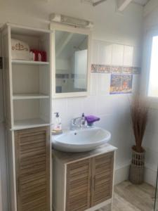 un baño con lavabo y espejo en La VILLA DU GOLF, en Les Trois-Îlets