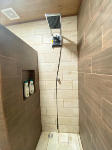 a shower in a bathroom with a shower at Apartamentos H Gonzalez. Wifi A/C free parking in San Rafael