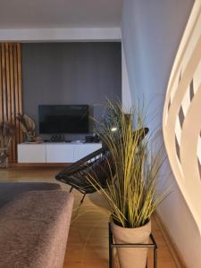 A television and/or entertainment centre at Apartman Riva