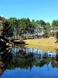 um corpo de água com árvores ao fundo em Casa de Campo - Alameda dos Pinus em Annitapolis