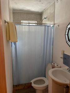 a bathroom with a shower and a toilet and a sink at Ventana Al Desierto in Real de Catorce