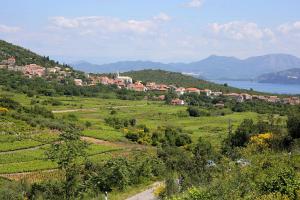 a small town in a green field with a town on a hill at Apartments with parking space Janjina, Peljesac - 21984 in Janjina