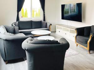 salon z 2 kanapami i telewizorem w obiekcie Holiday home GÖTEBORG V w Göteborgu