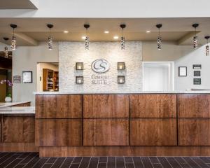 Móttaka eða anddyri á Comfort Suites Woodland - Sacramento Airport
