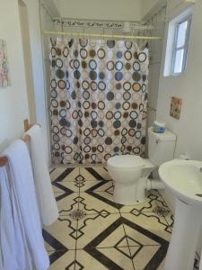 a bathroom with a toilet and a shower curtain at Exquisite Home away from Home! in Kingstown