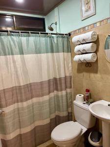 ein Badezimmer mit einem Duschvorhang, einem WC und einem Waschbecken in der Unterkunft Casa El Jardín in Río Claro