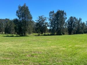 a field of grass with trees in the background at The Ranch - Coastal Farmhouse midway to Newcastle Airport and Beaches in Salt Ash