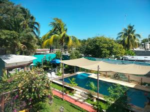 - une vue sur la piscine du complexe dans l'établissement Hotel Albatros, à Isla Aguada
