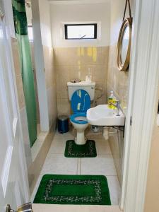 a bathroom with a blue toilet and a sink at Destination Hope Booking in Georgetown