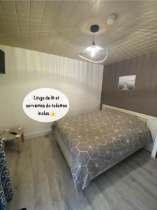1 dormitorio con 1 cama en una habitación en Studio Centre Port avec piscine résidence Port Richelieu en Cap d'Agde