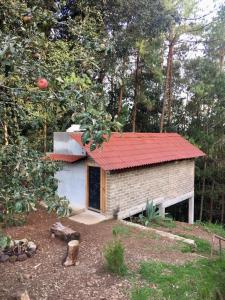 Camotepec的住宿－Cabaña en el bosque，花园中一座带红色屋顶的小房子