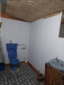 a bathroom with a blue toilet and a sink at Ruban Yoga Eco Resort Palolem in Palolem