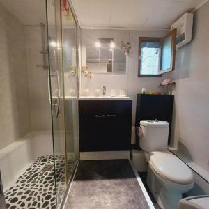 a bathroom with a shower and a toilet and a sink at Le Zen in La Ciotat