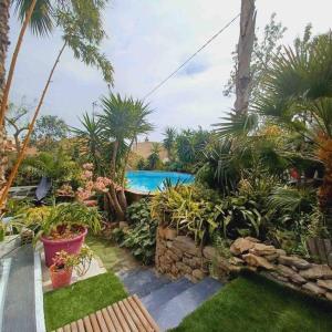 un jardín con piscina y algunas plantas en Le Zen, en La Ciotat