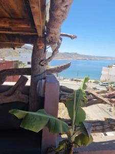 a view of the beach from a house with a plant at BAY Appartments Immssouane Bay 2 Bedroom Suite Ocean View Terrace in Imsouane