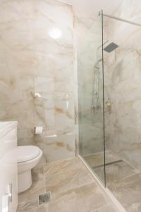 a bathroom with a toilet and a glass shower at Katerina's Sunset Apartment in Episkopianá