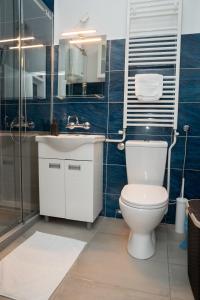 La salle de bains est pourvue de toilettes, d'un lavabo et d'une douche. dans l'établissement Tommy Apartment, à Belgrade