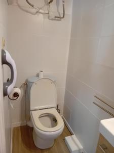 a small bathroom with a toilet and a sink at Centre ville d'Amelie les bains in Amélie-les-Bains-Palalda