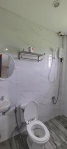 a bathroom with a toilet and a sink at CASA VICTORIA -Vassilis in Somosomo
