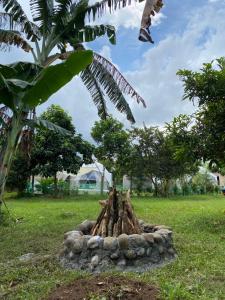 une structure en pierre dans un champ avec un palmier dans l'établissement Boho Farm Glamp, à Santo Tomas