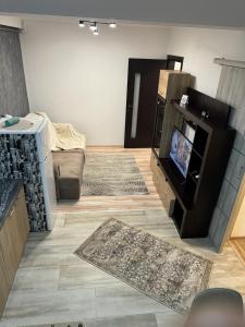 ein Wohnzimmer mit einem TV und einem Sofa in der Unterkunft Luxury Young Residence in Iaşi