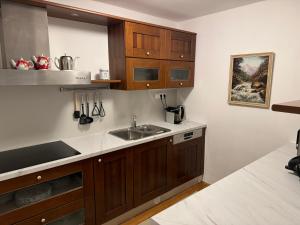 a kitchen with wooden cabinets and a sink at Stairway to the castle in Ljubljana